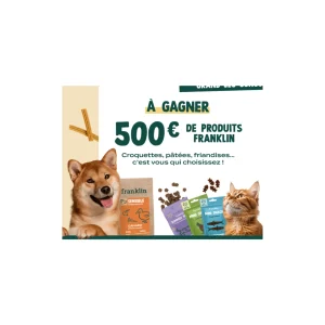 100 € pour Votre Animal : Le Coup de Pouce Qui Change Vraiment le Quotidien
